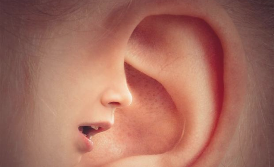 La importancia de construir TRAMA a partir de nuestras VOCES